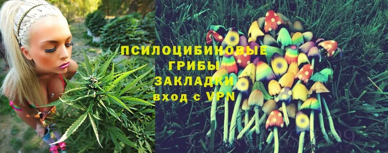 Псилоцибиновые грибы Magic Shrooms  магазин    Вятские Поляны 